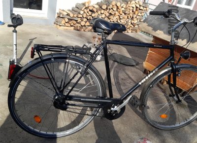 IMGf3381ad46aec4084a7130f1b7e8fd975V1649072414