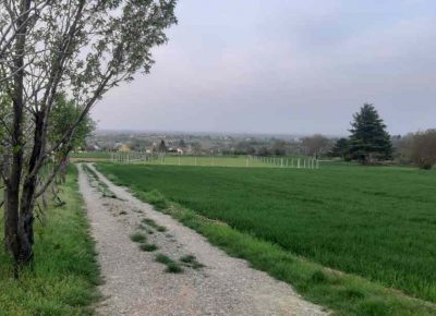 karagača21651341976