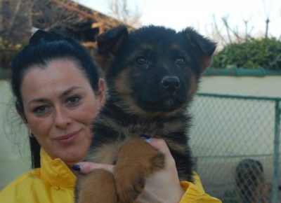 viberimage202204151250083771650053701