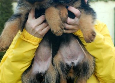 viberimage202204151250192201650053701