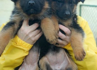 viberimage202204151250193341650053700