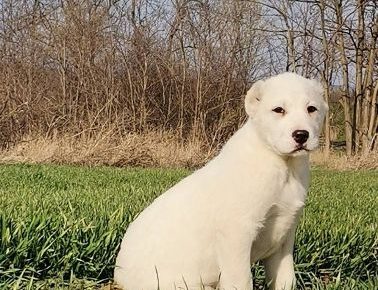 viberimage202204162104108981650189910