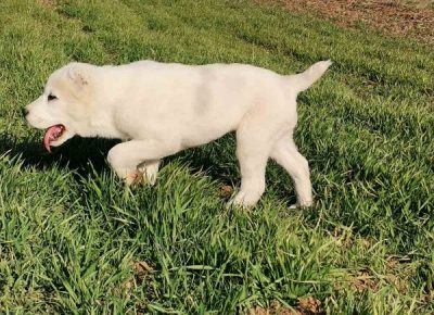 viberimage202204162104111171650189911