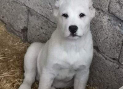 viberimage202204162104122721650189910