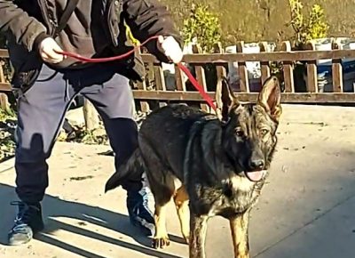 viberimage202204201105157501650630931