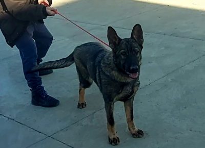 viberimage202204201105159651650630932