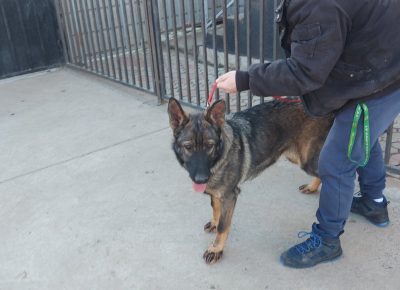 viberimage202204201105160371650630931