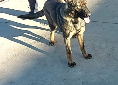 viberimage202204201105203291650630932