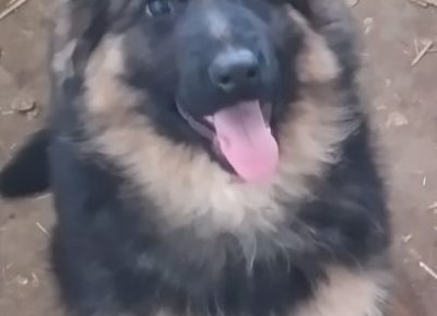 viberimage202204202057476341650641987