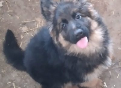 viberimage202204202058138171650641987