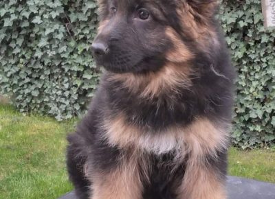 viberimage202204202058493371650641988