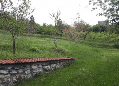 202205011306021651485845