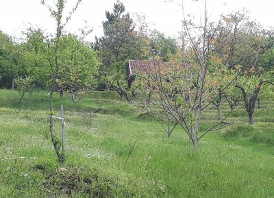 202205011306101651485835