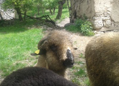 202205061121171653822046