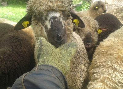 202205061121401653821980