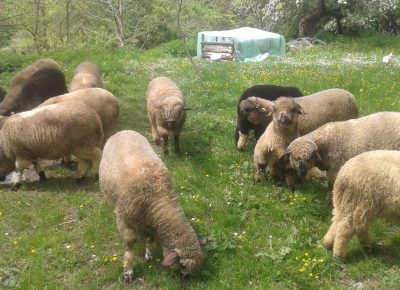 202205061122391653822089