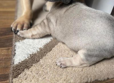 2796282102815298440994817439435095121638405n1652463547