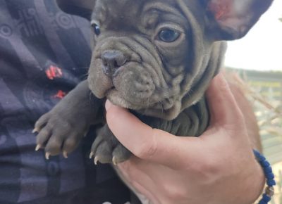 2797318221008883209736892658865868017282947n1652099546