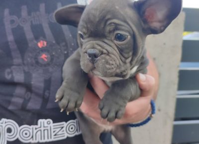 27974569944110951689939833530004375583839795n1652099546