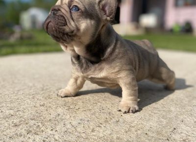 2797488225500729966870752488521417883586538n1652463548