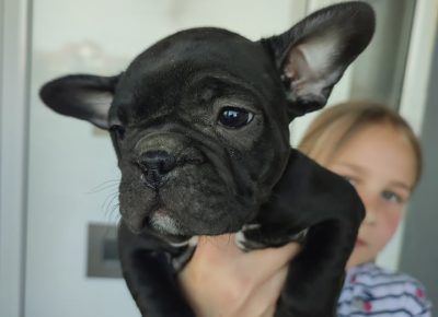 27975892614216086282717977512157586504290636n1652099546