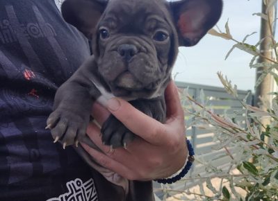 2797595633902506063353533963200858910008360n1652099547