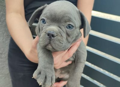 2797689825204057297199634078826940706040516n1652099548