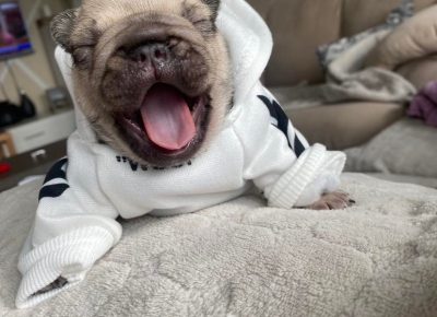 2797727917014456511768207962086953992890488n1652463547