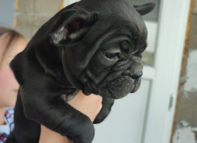 2797894688137068629393915398422963044422649n1652099547