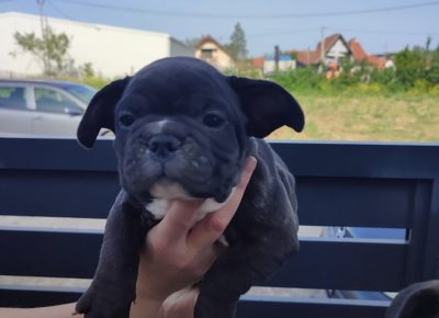 27980238910175244624677806305315913536955157n1652099547