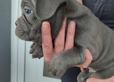 2798111305140506370485132289037783763665007n1652099546