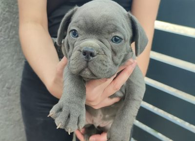 2798599783587385394285455763810656001022216n1652099547