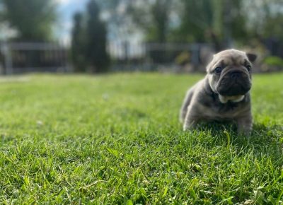 2799206715301361119114591810180033299107021n1652463547