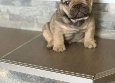 27995758611634275077485208975390115567963677n1652463546