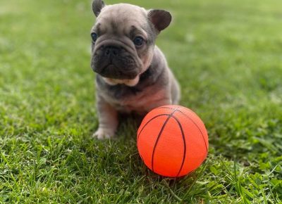 2800856994311115321597454036517941067601418n1652463548