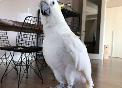 734254685968674941807666154752171139862885n1653778612