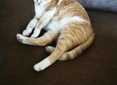 IMG202201291217271653391459