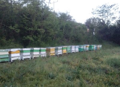 IMG202205170504221653664669