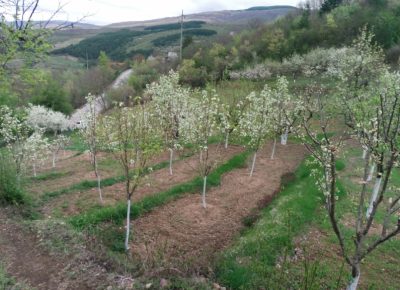 Screenshot20220502114826Viber1651485811