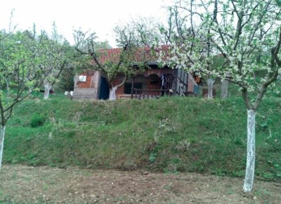 Screenshot20220502114904Viber1651485811