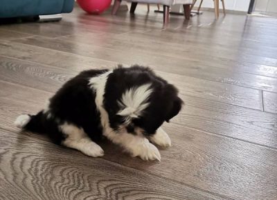 viberimage202205051155238531651752582