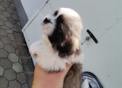 viberimage202205051155240571651752582