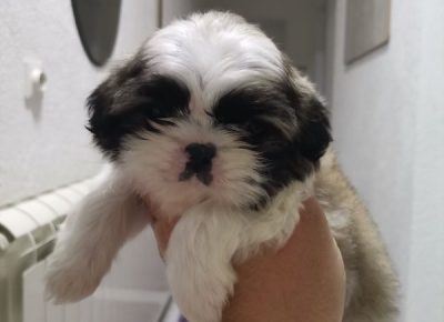 viberimage202205051155267651651752582