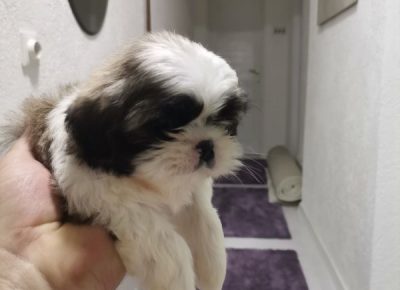 viberimage202205051155274191651752583