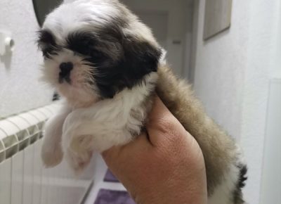 viberimage202205051155282991651752583