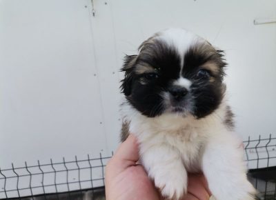 viberimage202205051155289481651752583