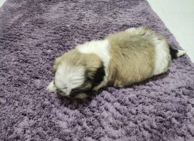 viberimage202205051155292941651752583