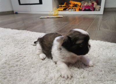 viberimage202205051155308011651752584