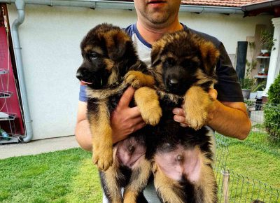 viberimage202205091424529341652199310