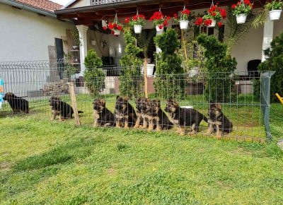 viberimage202205091424541061652199310